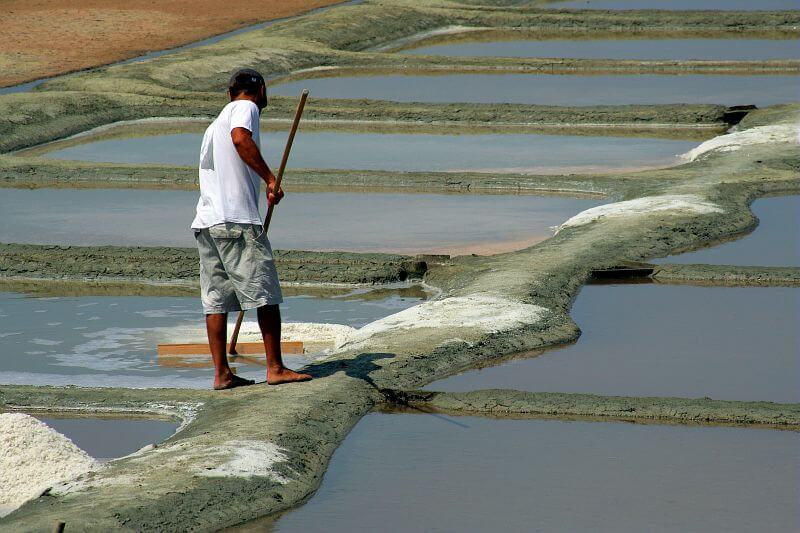 paludier dans marais salants à l'ile de ré