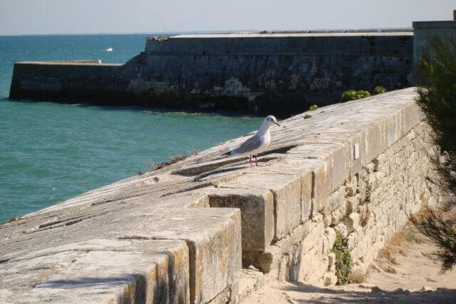 rempart du port de saint martin de ré